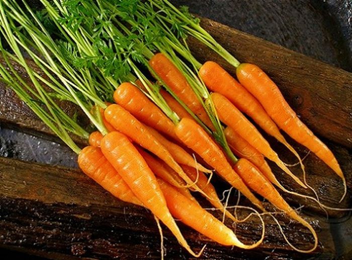 10 loại rau củ quả tí hon cực dễ trồng - kythuatcanhtac.com