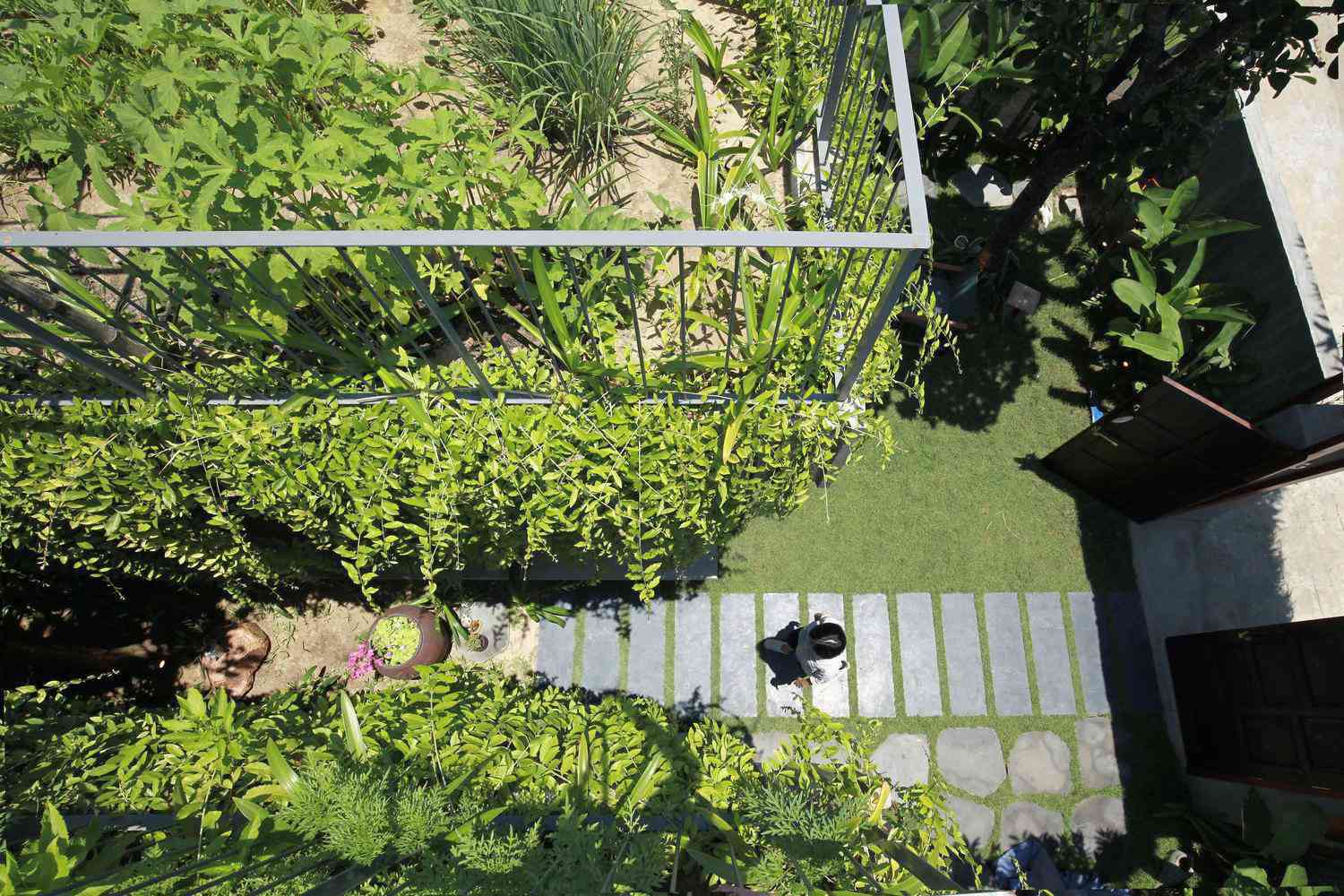 Giữa mùa dịch, gia chủ làm vườn, trồng rau trên mái nhà - 17 - kythuatcanhtac.com