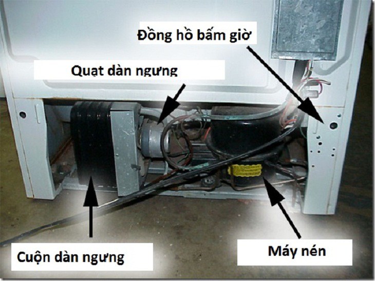8 dấu hiệu bất thường từ tủ lạnh cần kiểm tra ngay, họa đang ẩn trong nhà mà không biết - 3 - kythuatcanhtac.com