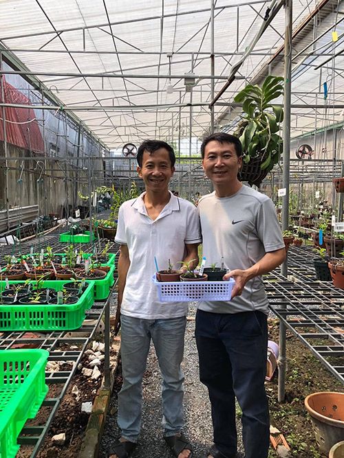 Ông chủ vườn lan Trần Quang Duy chia sẻ về hành trình đam mê loài hoa “vương giả” - 1 - kythuatcanhtac.com