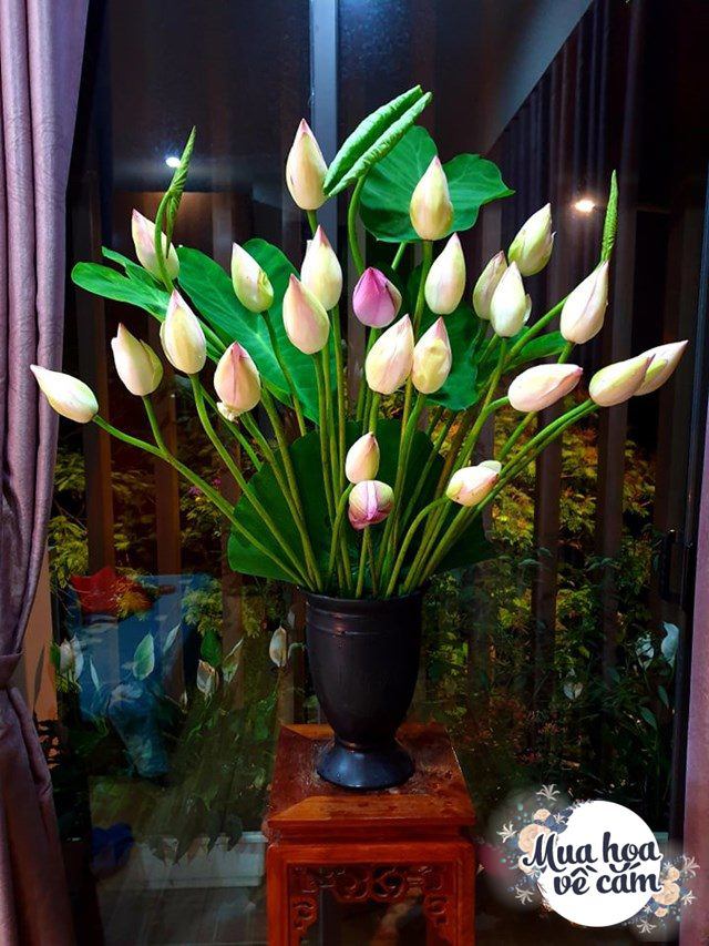 Muôn kiểu cắm hoa sen đẹp hút hồn của chị em Việt, nhìn là muốn amp;#34;rướcamp;#34; ngay 1 bình - 5 - kythuatcanhtac.com