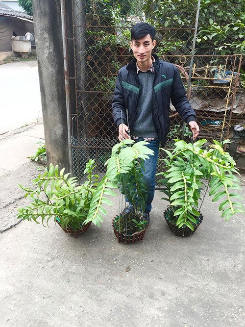 Louis Đức Trung: Niềm đam mê hoa lan của chàng trai 9x - 3 - kythuatcanhtac.com