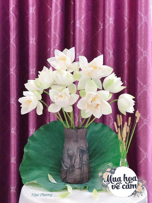 Say mê sen Đế Vương, mẹ Hà Nội “chịu chơi”, đưa hoa bằng máy bay từ Huế ra thủ đô - 14 - kythuatcanhtac.com