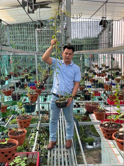 Ông chủ vườn lan 8X Lê Ngọc Hùng chia sẻ bí quyết trồng lan - 3 - kythuatcanhtac.com