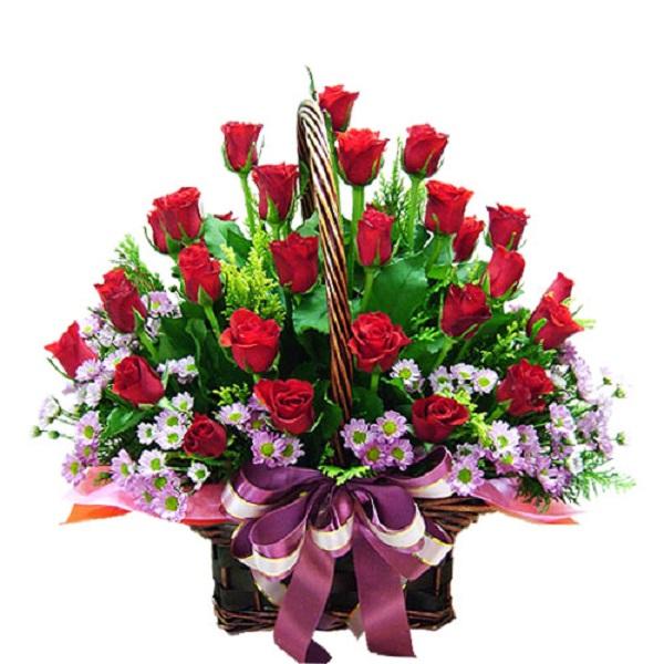 Hoa Thạch Thảo - Đặc điểm, ý nghĩa, cách trồng và cách cắm hoa đẹp - 7 - kythuatcanhtac.com