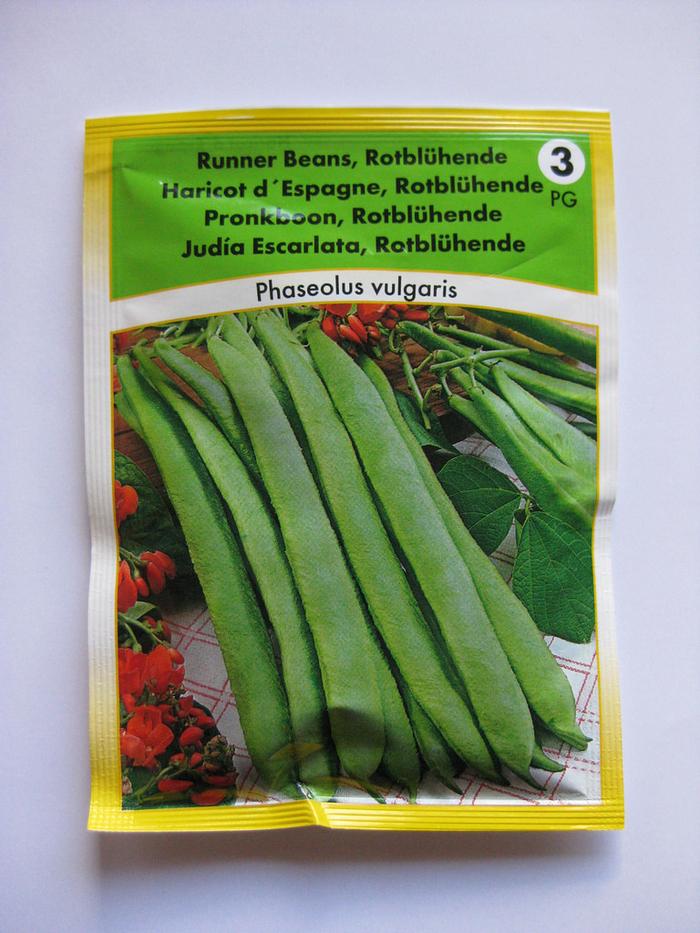 Bí quyết trồng đậu cô ve đơn giản tại nhà - kythuatcanhtac.com