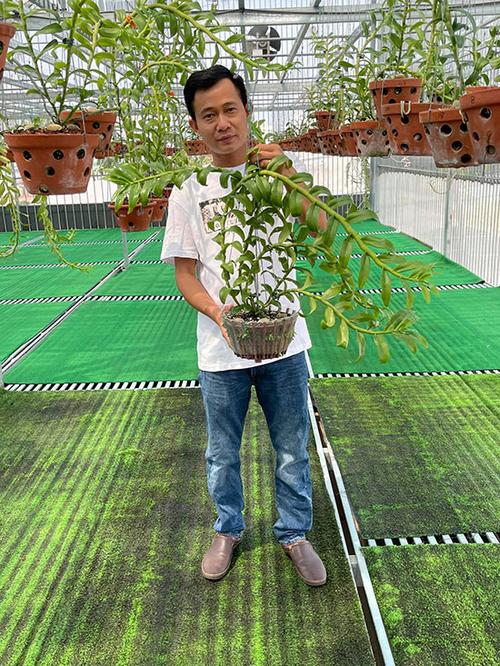 Ông chủ Phạm Minh Minh và câu chuyện thành công với hoa lan - 3 - kythuatcanhtac.com