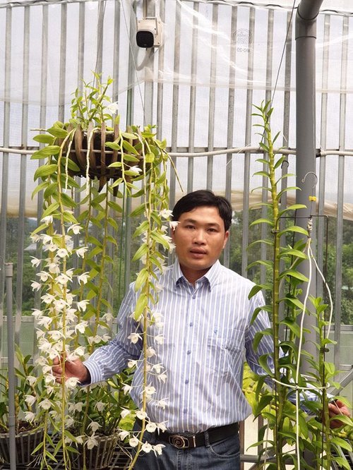 Nghệ nhân Nguyễn Thế Giáo dành cả tuổi trẻ để theo đuổi đam mê hoa lan - 1 - kythuatcanhtac.com