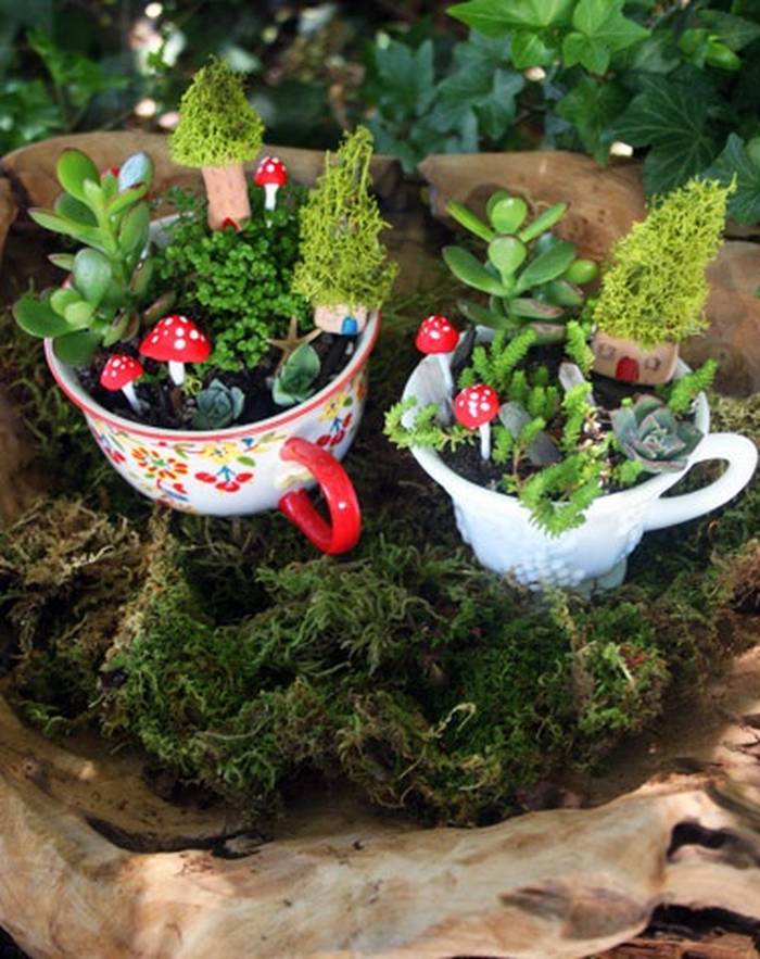 Cách làm khu vườn mini trong tách trà - kythuatcanhtac.com