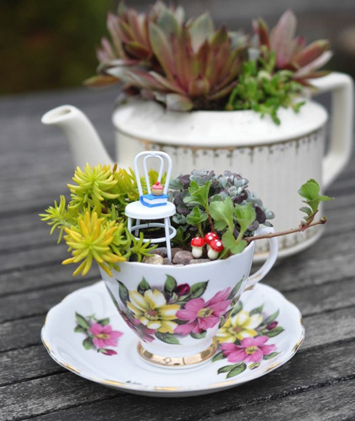 Cách làm khu vườn mini trong tách trà - kythuatcanhtac.com