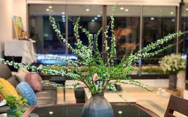 Hoa Tuyết Mai - Nguồn gốc, đặc điểm, ý nghĩa, cách chăm sóc hoa bền lâu - 4 - kythuatcanhtac.com