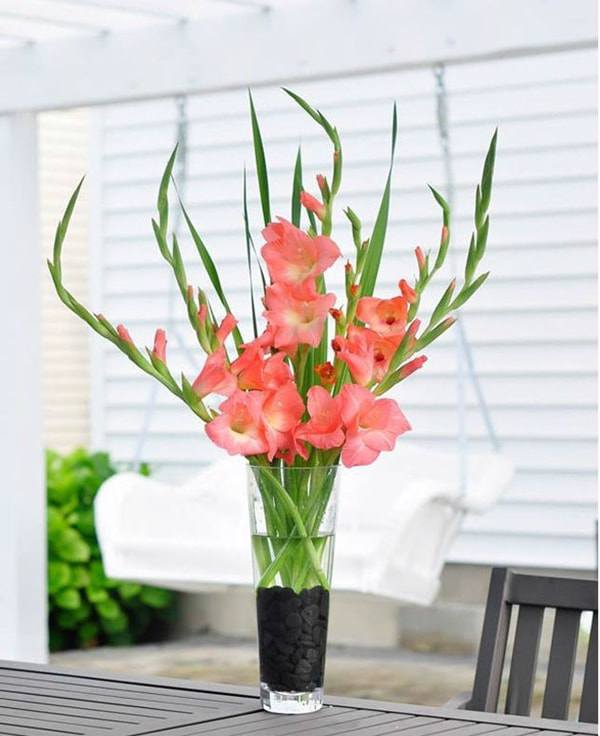 Cách cắm hoa lay ơn để bàn thờ đẹp và tươi lâu ngày Tết - 10 - kythuatcanhtac.com