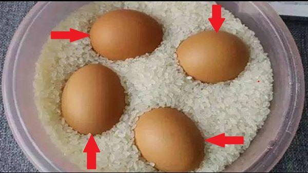 Đặt trứng vào thùng gạo có tác dụng thần kì, 99% chị em không biết - 1 - kythuatcanhtac.com