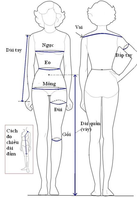 Cách đo kích thước cơ thể người - kythuatcanhtac.com