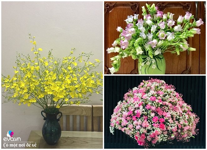 Sau Tết mẹ Hà Nội vẫn khiến ngôi nhà rực rỡ, tràn ngập sắc hoa chỉ với 200 nghìn/tuần - 20 - kythuatcanhtac.com