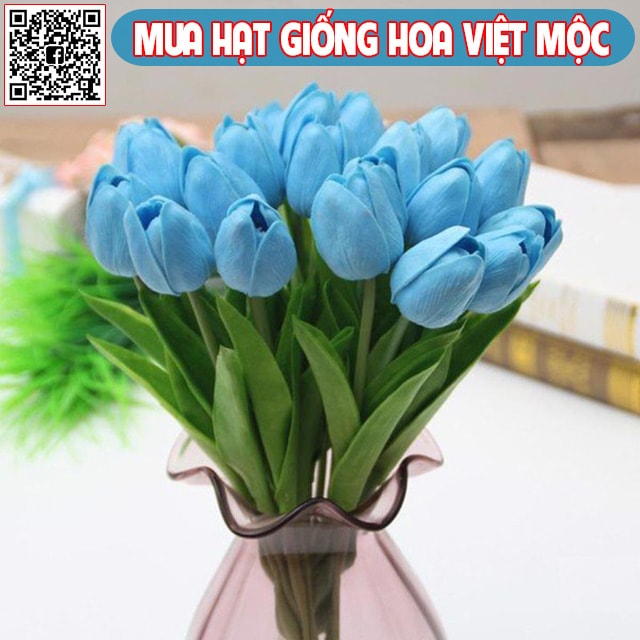 Hình ảnh hoa tulip xanh - kythuatcanhtac.com