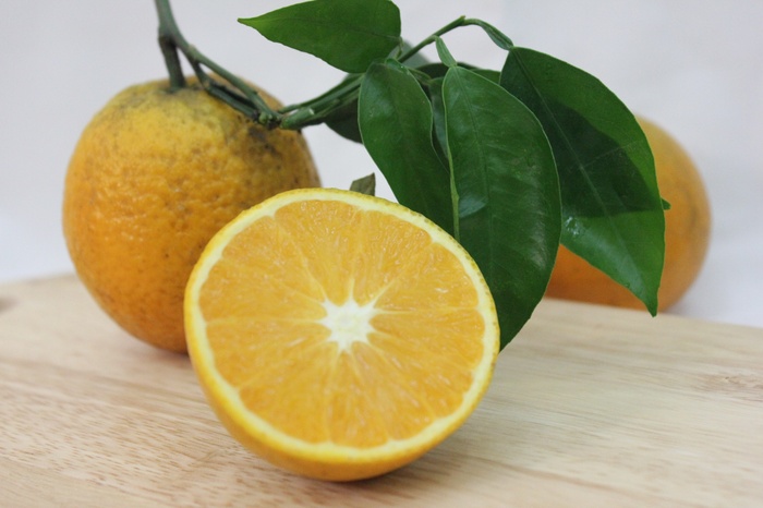 Hướng dẫn trồng cây cam vinh cho năng xuất cao - kythuatcanhtac.com