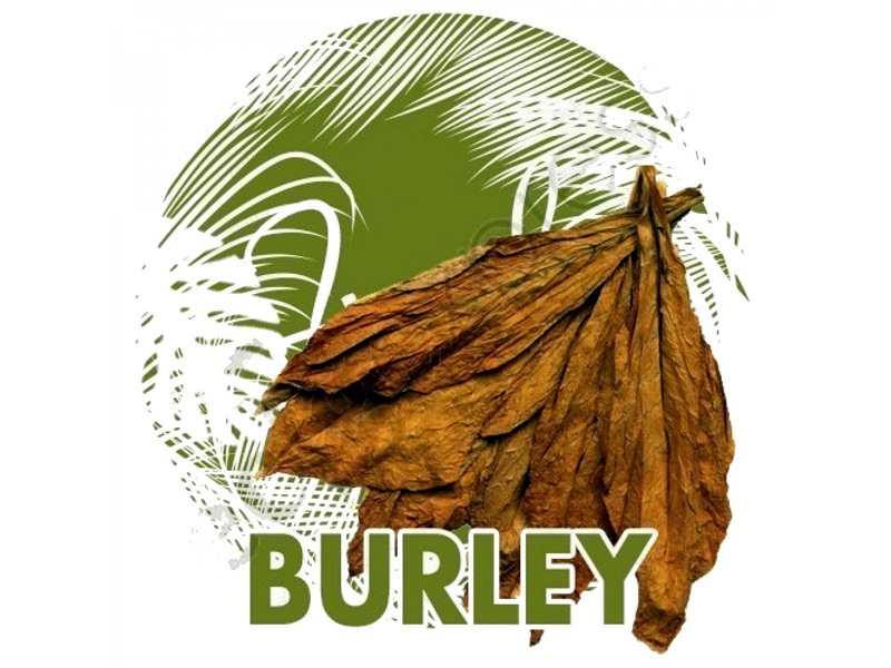 Burley Tobacco La Gi - kythuatcanhtac.com