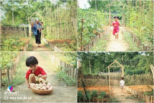 Cô gái 27 tuổi bỏ phố lên vùng sâu cất nhà 20m2, làm vườn, trồng hoa sống an yên - 27 - kythuatcanhtac.com