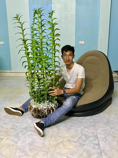 Louis Đức Trung: Niềm đam mê hoa lan của chàng trai 9x - 4 - kythuatcanhtac.com