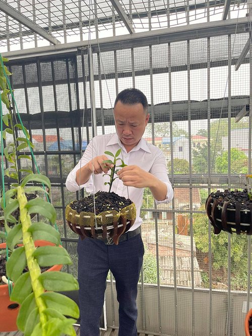 Ông chủ vườn lan Mạnh Quỳnh chia sẻ bí quyết chinh phục loài hoa vương giả - 2 - kythuatcanhtac.com