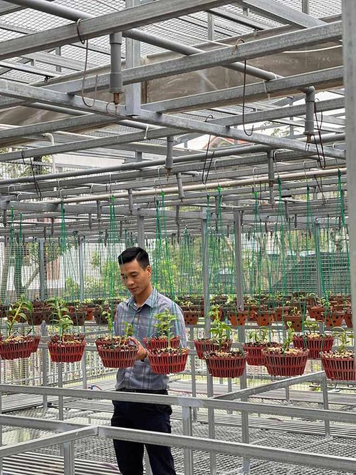 Hoàng Ngọc Huyên: Ông chủ vườn lan 8X nổi tiếng ở Hà thành - 2 - kythuatcanhtac.com