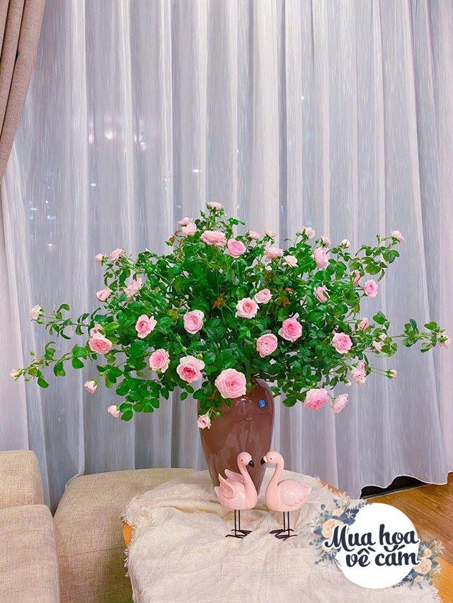 Chi tiền triệu mua hoa về cắm, mẹ Hà Nội bị trêu: “Tiền hoa tốn hơn tiền ăn” - 9 - kythuatcanhtac.com