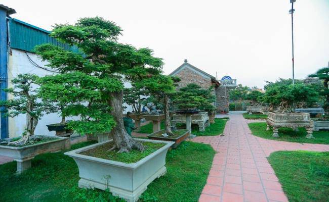 Choáng khi “lạc bước” vào những khu sân vườn bạc tỷ của đại gia Việt - 7 - kythuatcanhtac.com