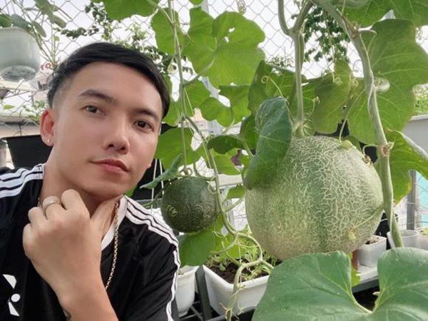 Nhà Celeb: Ca sĩ Phạm Trưởng tốn 100 triệu làm vườn, tự thu hoạch không phải đi mua - 1 - kythuatcanhtac.com
