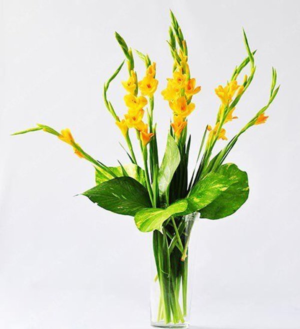 Cách cắm hoa lay ơn để bàn thờ đẹp và tươi lâu ngày Tết - 8 - kythuatcanhtac.com