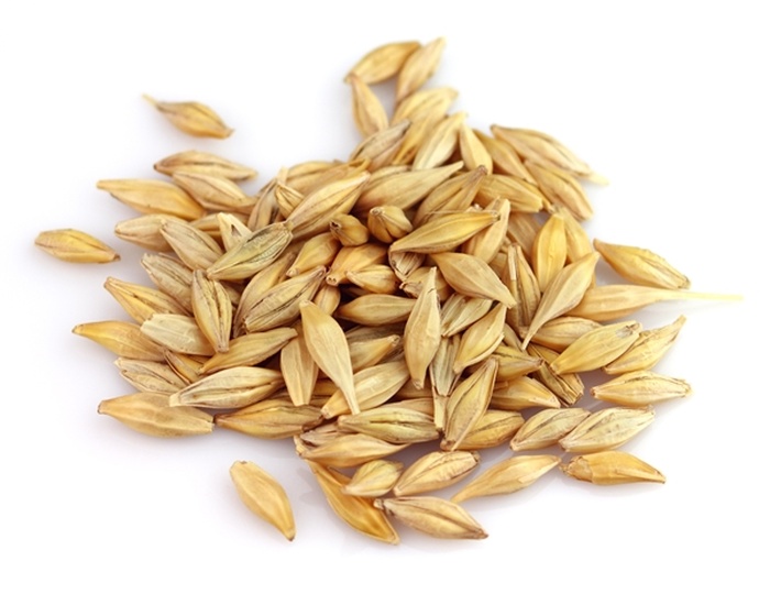 Trong lúa mạch có nhiều dưỡng chất chữa chứng trẻ em ăn kém - kythuatcanhtac.com