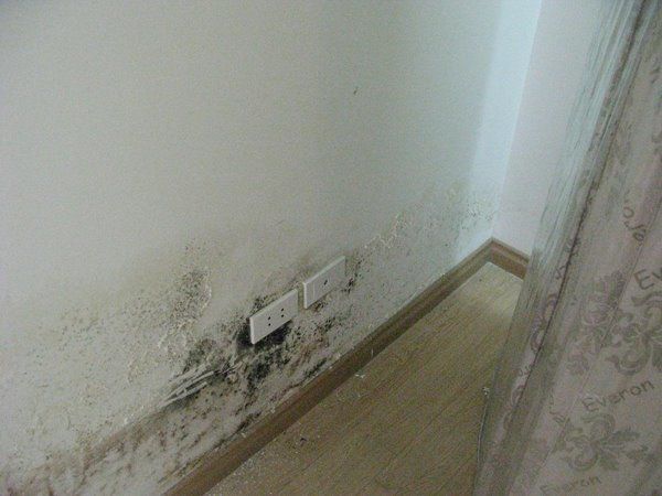 Những mẹo làm sạch vết bẩn trên tường được các mẹ rỉ tai, nhanh chóng và dễ dàng - 4 - kythuatcanhtac.com