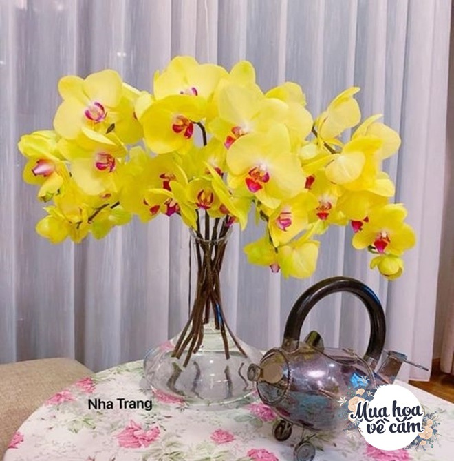 Mẹ Việt biến nhà rực sắc đón ngày 8/3, khoe muôn kiểu cắm hoa đẹp rụng rời - 9 - kythuatcanhtac.com