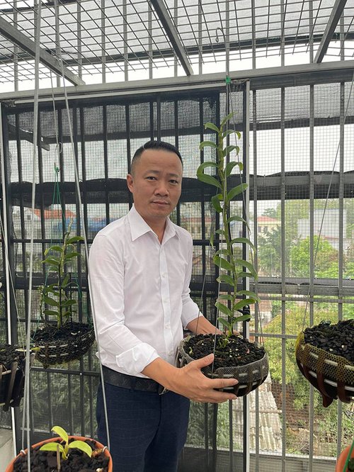 Ông chủ vườn lan Mạnh Quỳnh chia sẻ bí quyết chinh phục loài hoa vương giả - 3 - kythuatcanhtac.com