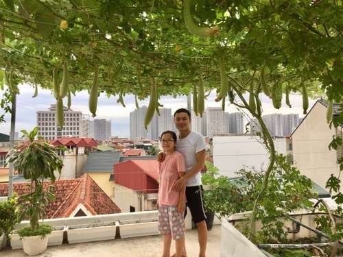 Ông bố Hà Nội huy động cả nhà bê đất lên sân thượng, bội thu cả tạ rau quả - 26 - kythuatcanhtac.com