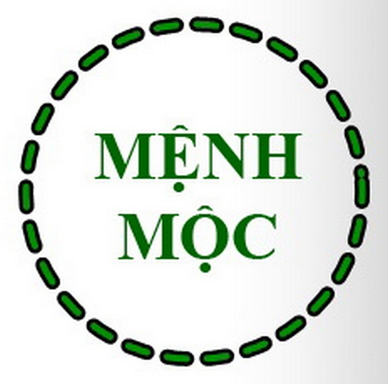 Menh Moc Hop Mau Gi - kythuatcanhtac.com