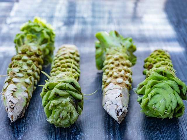 Kỹ thuật trồng wasabi - kythuatcanhtac.com