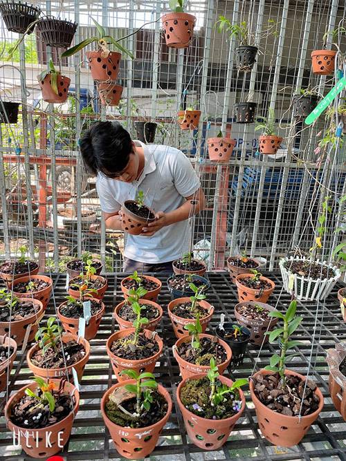 Trịnh Tuân – hành trình theo đuổi đam mê trồng lan khi còn rất trẻ - 2 - kythuatcanhtac.com