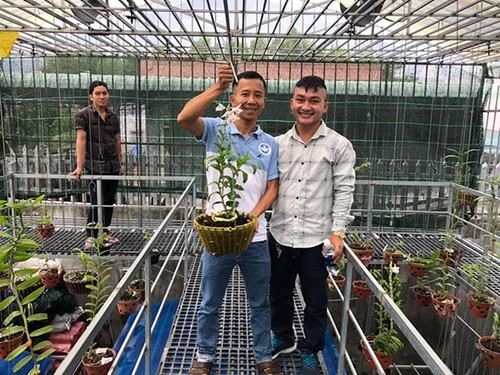 Ông chủ vườn lan Trần Quang Duy chia sẻ về hành trình đam mê loài hoa “vương giả” - 3 - kythuatcanhtac.com