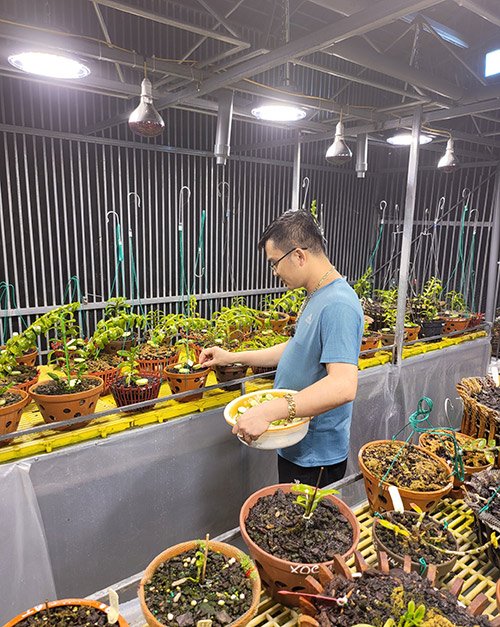 Ông chủ vườn lan 8X Tùng Dương chia sẻ bí quyết trồng lan thành công - 1 - kythuatcanhtac.com