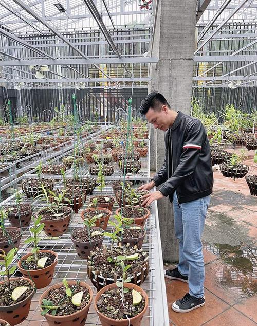 Ông chủ vườn lan Vũ Hoàng Giang và vườn lan đột biến giá trị khiến nhiều người mê mẩn - 3 - kythuatcanhtac.com