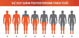 Mất cân bằng nội tiết làm suy giảm testosterone gây nguy cơ rụng tóc  - kythuatcanhtac.com