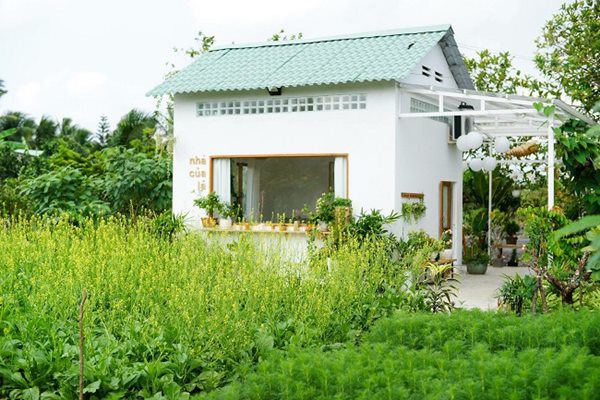 8x Tiền Giang amp;#34;biếnamp;#34; nhà hoang thành nhà vườn đẹp như cổ tích chỉ với hơn 100 triệu đồng - 8 - kythuatcanhtac.com