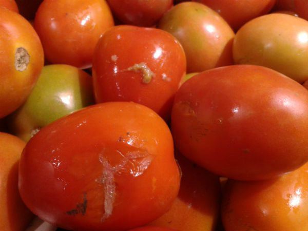 Đừng vứt cà chua thối đi, để lại chà vào tủ lạnh sẽ có tác dụng amp;#34;diệu kỳamp;#34; - 3 - kythuatcanhtac.com
