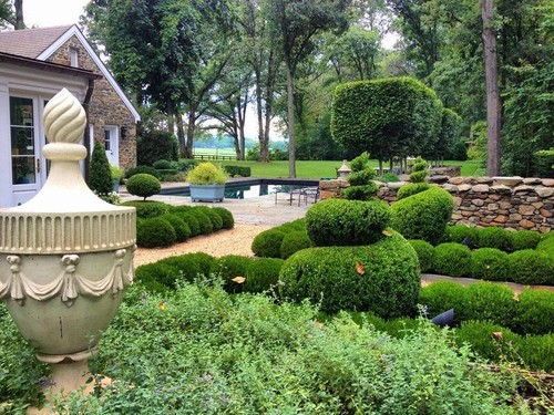 Thiết kế sân vườn – Những điều bạn cần biết để làm đẹp cho ngôi nhà bạn 21 - kythuatcanhtac.com