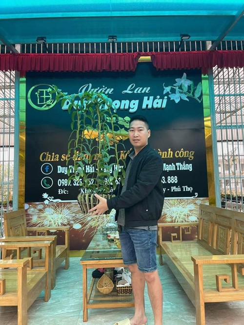“Học lỏm” cách chọn mua và nuôi trồng lan từ ông chủ vườn lan Duy Trọng Hải - 1 - kythuatcanhtac.com
