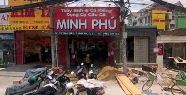 Bán cá cảnh Minh Phú - kythuatcanhtac.com