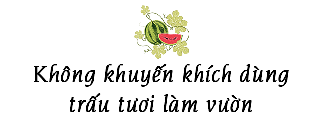 Ông bố Phú Thọ làm vườn sân thượng theo bí quyết riêng, rau quả xanh tốt quanh năm - 4 - kythuatcanhtac.com