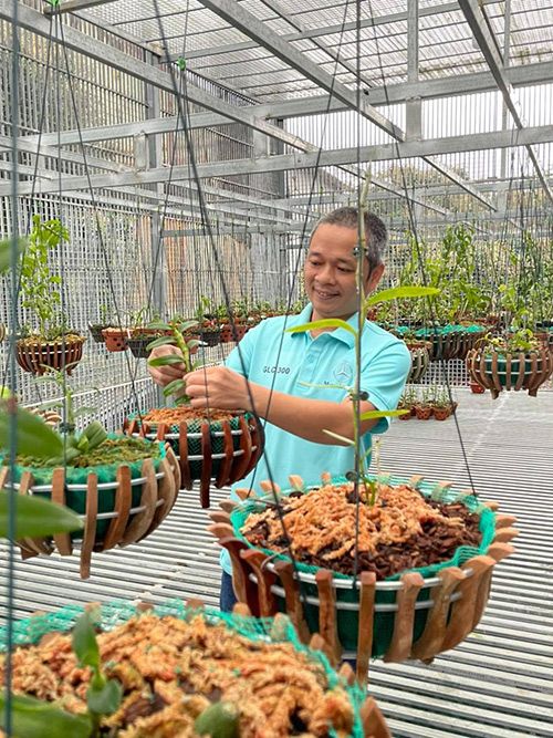 Thầy giáo Tuấn Bùi chia sẻ bí quyết trồng loài hoa vương giả - 2 - kythuatcanhtac.com