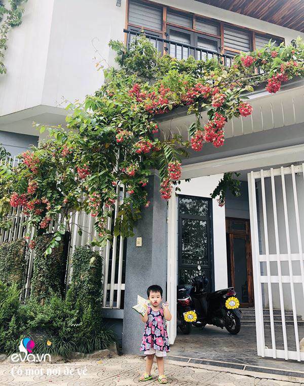 Mẹ Hà Nội “biến” 120m² thành biệt thự, họ hàng đến chơi ai cũng tấm tắc khen - 19 - kythuatcanhtac.com